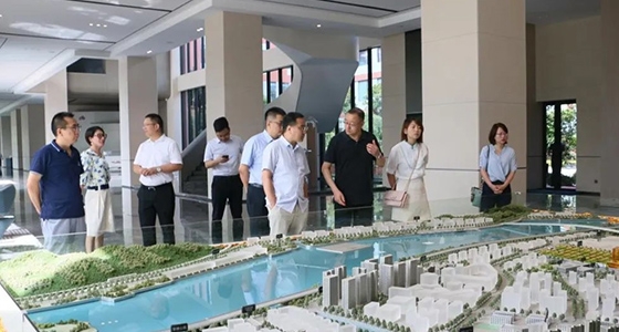 中央党校调研德赢VWIN)官网集团